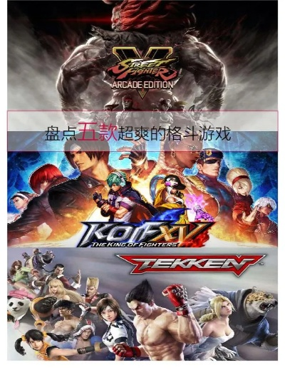 十大热门耐玩格斗游戏，揭秘经典排行新亮点