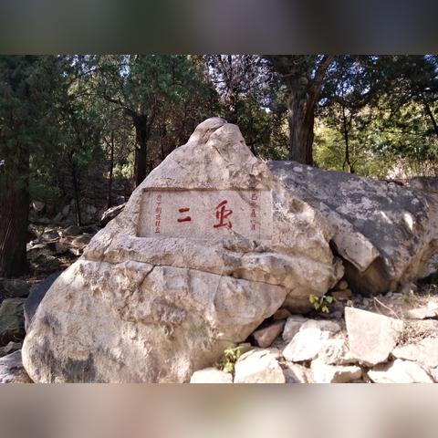 热门文字游戏盘点：揭秘最佳热门排行