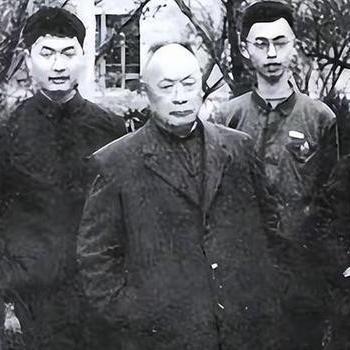 十大精选选择取向游戏，深度体验沉浸式抉择之旅