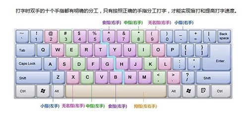 十大精选打字游戏，体验极致指尖风暴必玩推荐