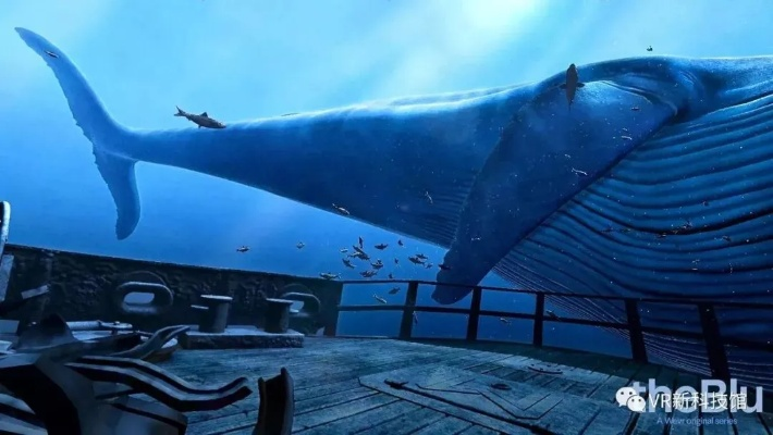 迷雾探险，鲸空翱翔：揭秘全新生存奥秘