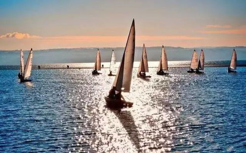 最新帆船游戏盘点：揭秘沉浸式航海体验首选