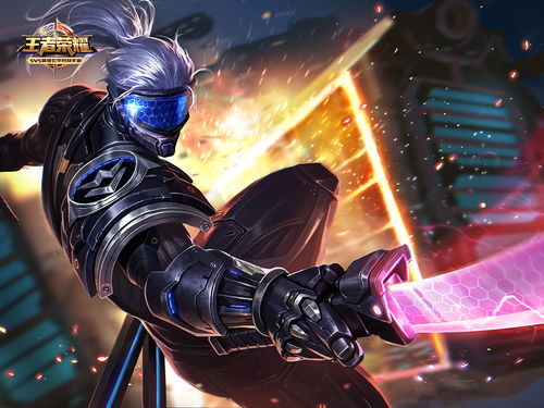 宫本武藏刺客技巧解析：深度攻略，提升实战价值