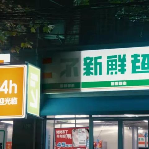 盘点热门短片游戏，解锁趣味排行新体验