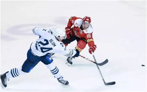 盘点热门冰球游戏，揭秘十大必玩佳作推荐