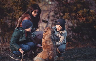 女性力量：寂静岭恐惧之源与敬畏之巅
