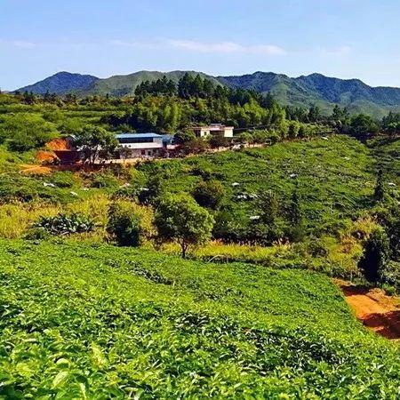 《QQ农场手游》青春回忆升级，经典再现新体验