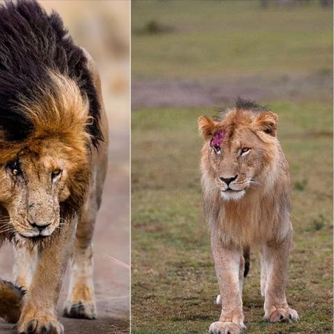 盘点热门多结局游戏：揭秘人气巅峰之作