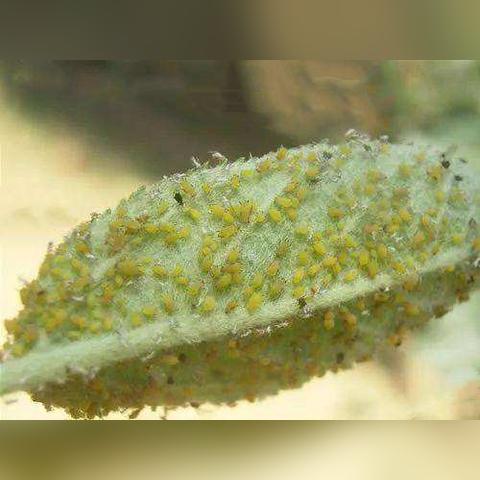 热门工具游戏盘点：人气神器大推荐，实用价值一网打尽