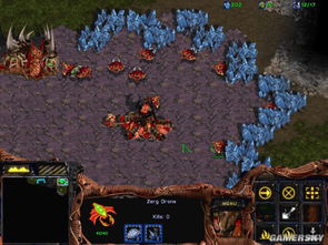 探索奇趣：盘点试验性游戏中的独特魅力