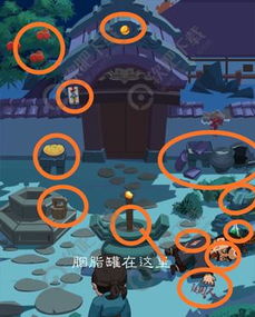 穿越寻宝记灵探仁杰通关秘籍，解锁宝藏新攻略