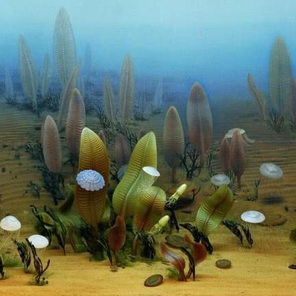 外星冒险精选：热门外星人游戏排行推荐