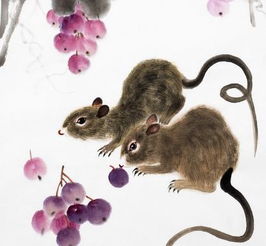 鼠界最强搭档：猫鼠大战，鼠方组合攻略揭秘！