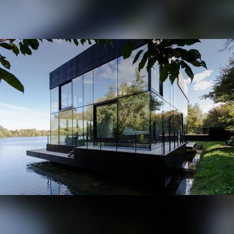 治愈系池塘秘境，打造沉浸式自然疗愈之旅