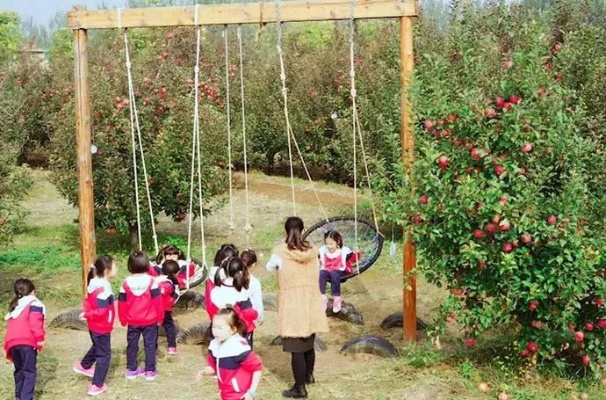 探索狐狸乐园：甜浆果农场新体验