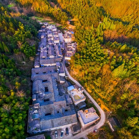 热门四人群战巅峰盘点：揭秘人气飙升的独享游戏宝藏