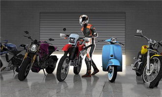 最新排行揭晓：畅玩首选，摩托车游戏哪家强？