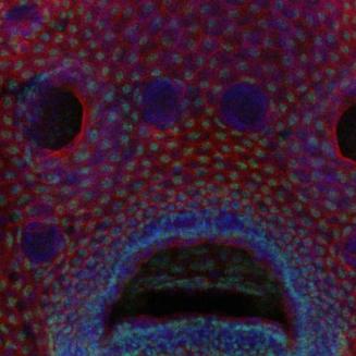 十大美国游戏盘点：揭秘必玩佳作新风向