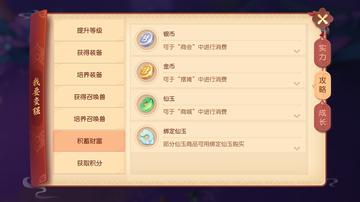 梦幻西游三维版：深度解析职业玩家氪金真相与价值策略