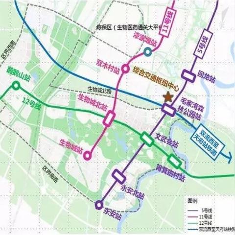 2024年度必玩！盘点最佳生物收集游戏精选攻略