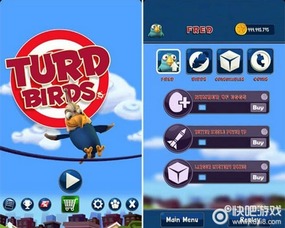 热门鸟游戏盘点：精选必玩，趣味无限新体验