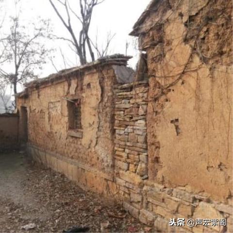 一亿小目标2深度解析：子嗣属性高效培养秘籍