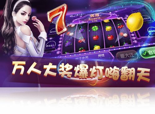 2024热门猫游戏盘点：精选佳作，趣味无限新体验