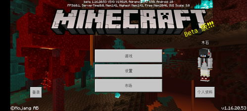 捕捉奇遇，精灵球小屋：探索我的世界新奥秘