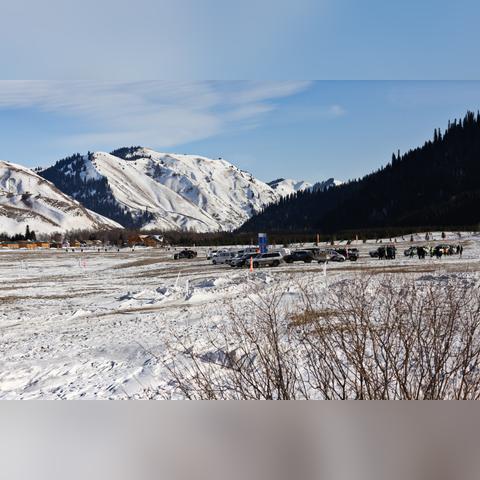 赛马牧场物语新手必看：全面攻略指南，轻松上手新体验