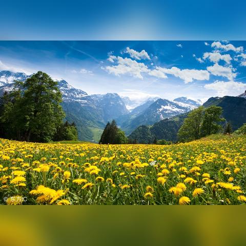 热推：资本主义游戏盘点，揭秘最热门趣味玩法！