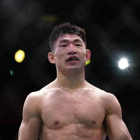 盘点热门唯美格斗，解锁视觉盛宴新体验