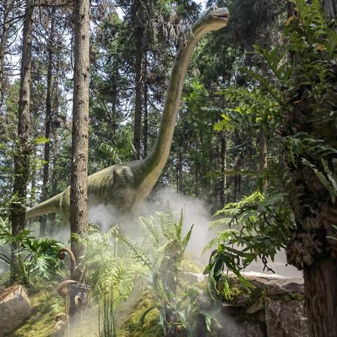 最新时空探险游戏盘点：探寻最佳时光穿梭之旅