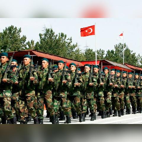 装甲纷争新手必看攻略：全面解析成长秘籍