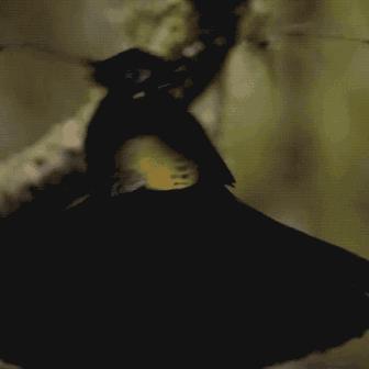 热门动态旁白游戏速览，下载排行新视角