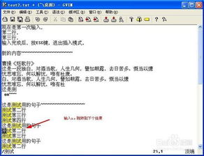 新手速通攻略秘籍：高效攻略新视角