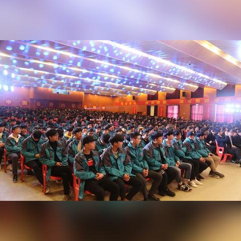 最新职业导向游戏盘点：揭秘热门排行新趋势