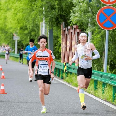 3D格斗盛宴：2024年度排行解析，揭秘新锐崛起