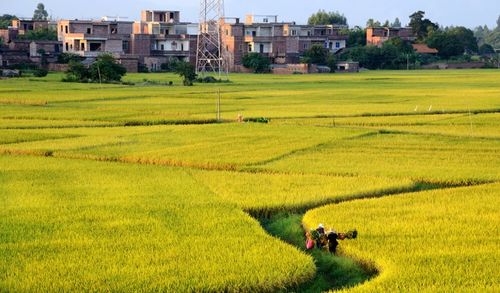 梦想村庄：打造你的田园乐土