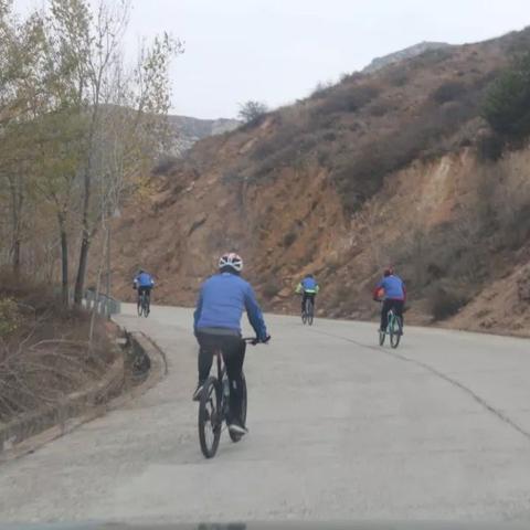 十大热门竞速游戏盘点：揭秘必玩排行，畅享速度激情新体验