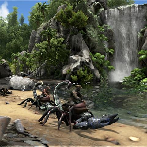 满级琥珀实战技巧解析：高效攻略新视角