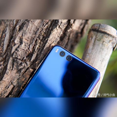 最新盘点：必玩像素游戏，解锁独特游戏体验