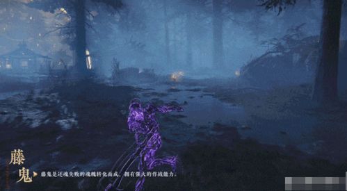 迷幻游戏新潮流，下载排行揭秘新价值