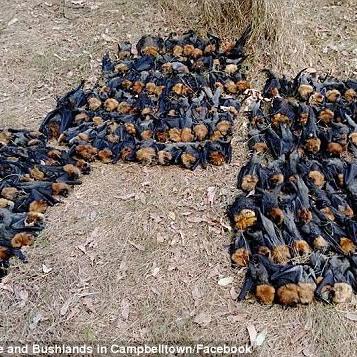 西部热浪来袭！人气西部游戏盘点，最新力作推荐必看