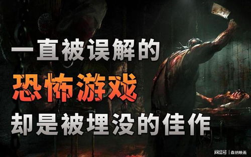 热门永久死亡游戏盘点：揭秘高人气佳作推荐