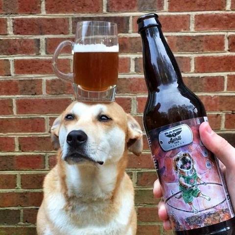 热门狗类游戏盘点：人气飙升，十大热门排行揭晓！