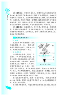 悠长假期高效种田新攻略,轻松致富秘诀大公开 悠长假期高效种田新攻略,轻松致富秘诀大公开