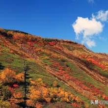 彩色游戏盘点：揭秘热门人气排行榜，解锁新视角