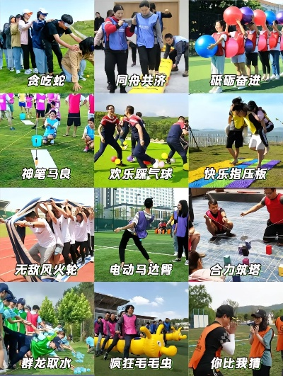 2024年度团队游戏精选，揭秘互动乐趣新高度