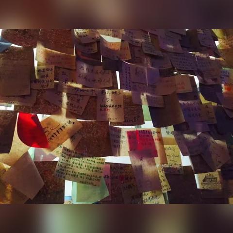 温馨惬意游戏盘点：热门下载排行，治愈系佳作推荐