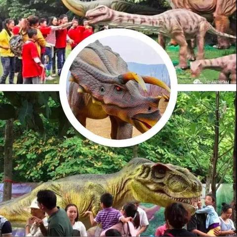 巨龙城堡：镰刀毕业装攻略，轻松升级必备秘籍大公开